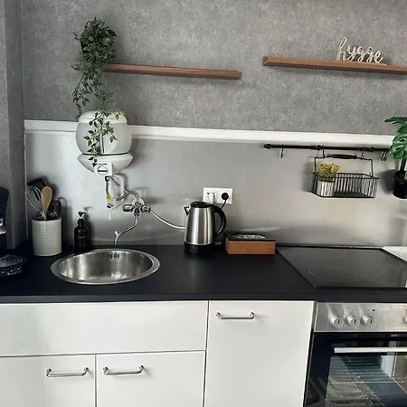 Gemuetliche Im Zentrum 公寓